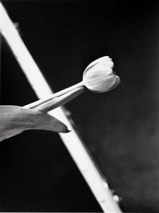 Image description is not available for 2010.079